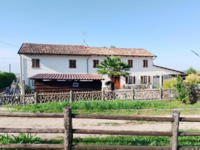Le vigne